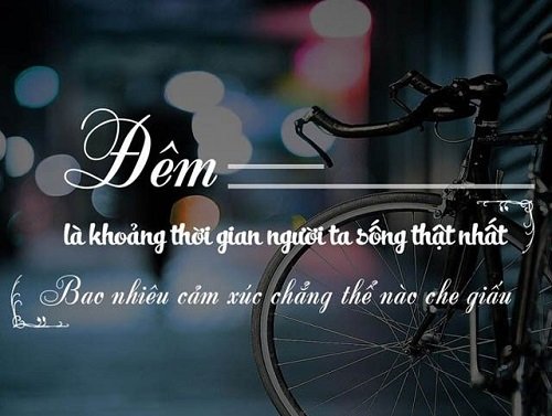 Top 50 Những Stt Hay Về Cuộc Sống buồn vui ý nghĩa nhất