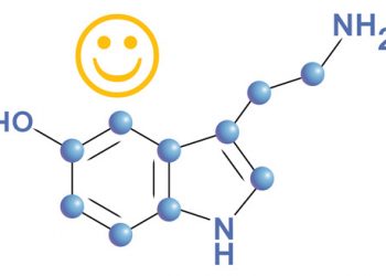 Serotonin là gì? Serotonin có liên quan tới căn bệnh trầm cảm?