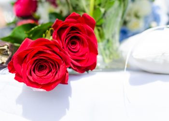 Ảnh Hoa Hồng đẹp tự nhiên nhất thế giới