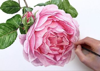 Hướng dẫn cách vẽ hoa hồng đẹp mê li chỉ trong nốt nhạc 