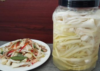 Bồn Bồn là gì? Các món ăn ngon từ cây Bồn Bồn