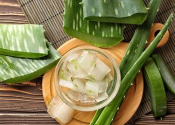 10 cách làm mặt nạ nha đam dưỡng da lành tính, hiệu quả