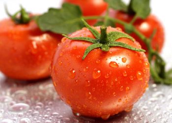 Cách chọn cà chua ngon và an toàn nhất định phải biết
