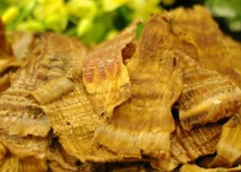 Cách chế biến măng khô ngon cho ngày Tết thêm đậm đà