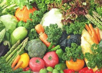 Nguyên nhân gây ngộ độc và cách nhận biết rau củ quả an toàn
