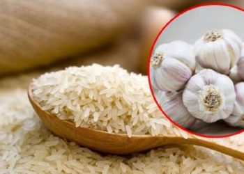 Thả nắm tỏi vào thùng gạo ai cũng trợn tròn mắt, nhưng điều kỳ diệu xảy ra