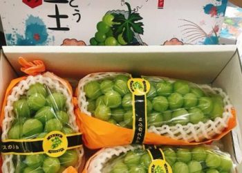 Nho sữa Trung Quốc loạn giá trên chợ mạng, chị em đặt mua ăn thử và cái kết bất ngờ