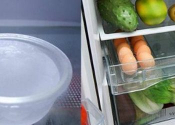 Đặt thứ này vào tủ lạnh, điều lạ xảy ra với rau củ quả và cả hóa đơn tiền điện