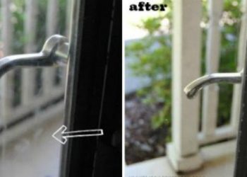 Bỏ nước lau kính đầy hóa chất đi, đây là cách khiến nó sạch bong nhờ nguyên liệu rẻ tiền