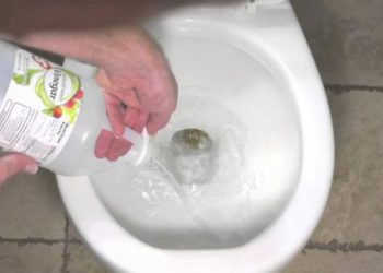 Đổ bát giấm vào bồn cầu tác dụng cực kỳ bất ngờ
