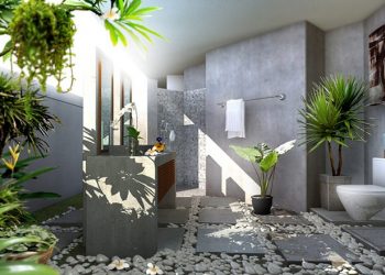 Chậu cây cảnh đẹp trong nhà và những lợi ích bất ngờ