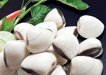 Cách làm ngao sạch cát nhanh và hiệu quả hơn mong đợi