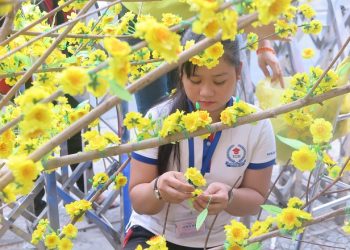 Trang trí cây mai ngày Tết với 8 cách ấn tượng, bắt mắt nhất