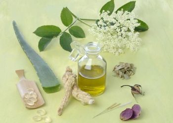 Cách chọn dầu tràm an toàn và hiệu quả nhất định phải biết