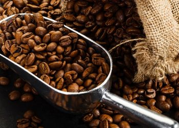 2 cách tắm trắng bằng cà phê an toàn và hiệu quả nhất