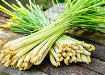 Những cách điều trị dứt điểm nấm móng tay an toàn, hiệu quả
