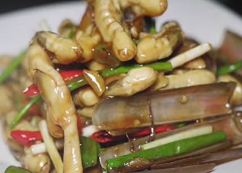 Ốc móng tay ăn có tốt không? Nên làm món gì ngon?