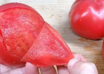 Lột vỏ cà chua bằng nước nóng xưa rồi! Người sành có cách khác nhanh bất ngờ