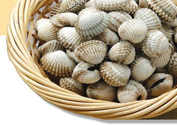 Cách chọn hải sản tươi ngon cho cả nhà thưởng thức
