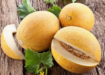 Cách chọn dưa vàng ngon đã ăn một lần là muốn ăn mãi
