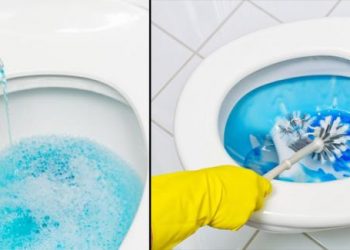 Vô tình đổ nước súc miệng vào bồn cầu ai ngờ phát hiện ra một điều kỳ diệu