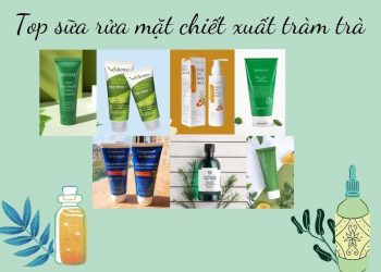 Top 10 sữa rửa mặt chiết xuất tràm trà giúp giảm mụn, ngừa thâm hiệu quả