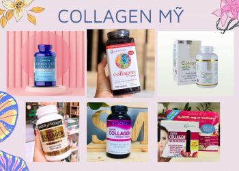 Collagen mỹ loại nào tốt nhất? Nên dùng collagen dạng nước hay dạng viên?