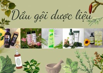 Top 10 dầu gội thảo dược giúp bạn sở hữu mái tóc suôn mượt, bồng bềnh