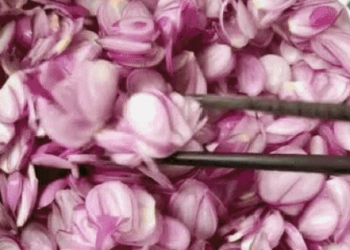 Mẹo làm hành phi giòn thơm cực lâu, làm hũ hành phi để dành ăn dần quá hợp lý!