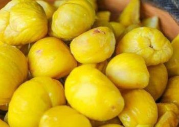Hạt dẻ khó bóc, chần với nước này 5 phút là vỏ bong, hạt không vỡ lại chẳng đau tay