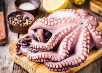 Chuyên gia chia sẻ cách chọn mực và bạch tuộc tươi ngon không bị tẩy trắng