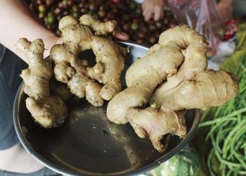 Cách phân biệt gừng Việt Nam với gừng Trung Quốc