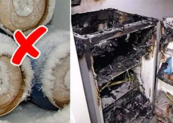 Bỏ 1 trong 3 thứ này trong ngăn đá khiến tủ lạnh dễ nổ tung như “bom”