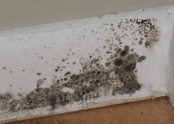 Cách chống nấm mốc cho nhà tắm rất đơn giản ai cũng có thể làm