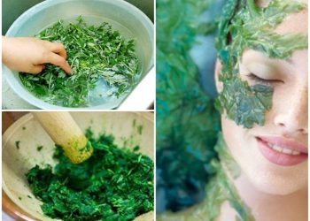 Tham khảo ngay cách làm dịu da cấp tốc từ ngải cứu, tác dụng làm đẹp đến bất ngờ
