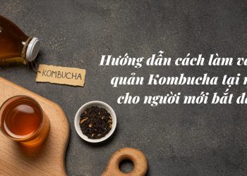 Hướng dẫn cách nuôi Scoby làm trà Kombucha và cách bảo quản Kombucha đúng cách