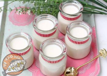 Cách làm sữa chua bằng sữa tươi: Bạn đã thử chưa?