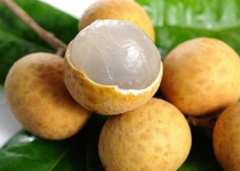 Cách phân biệt nhãn ướp hóa chất với nhãn quê hiệu quả