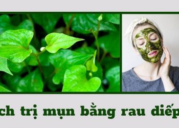 Cách trị mụn bằng rau diếp cá – an toàn, hiệu quả mà dễ thực hiện