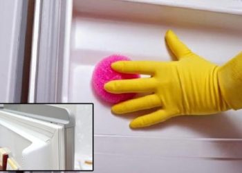 Hướng dẫn mẹo vặt làm sạch đồ đạc trong nhà nên chú ý