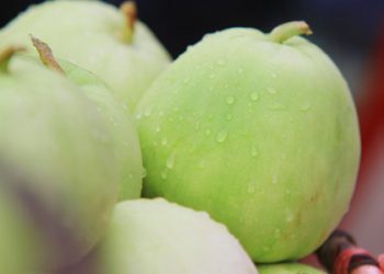 Cách chọn dưa lê, cách chọn dưa bở ngon và an toàn cho gia đình