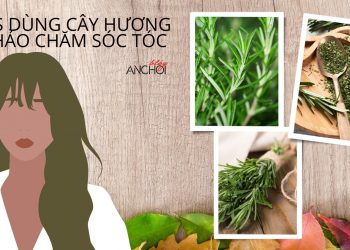 Bật mí 3 tips dùng cây hương thảo chăm sóc tóc: suôn mượt, chắc khỏe và giảm gãy rụng