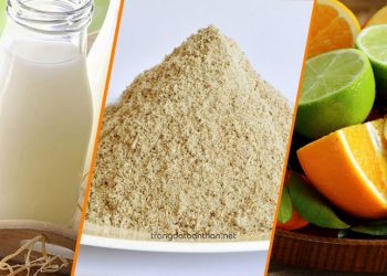 Công thức tắm trắng bằng cám gạo không nên bỏ lỡ!