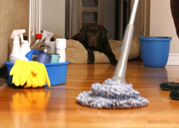 Mách nhỏ bí quyết để cùng nhà sạch bóng để tết đón điều may