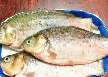 Cách làm cá diếc kho tương độn dưa chua – món ngon nhất ở Bắc bộ mùa đông mưa lạnh không tanh, không ngán