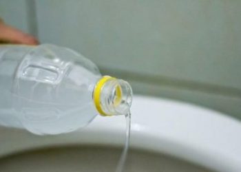 Đổ giấm vào bồn cầu bạn sẽ thấy điều kỳ diệu xảy ra