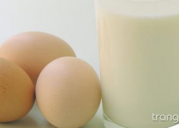 Dưỡng trắng da hiệu quả với trứng gà