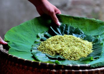 Cách chọn cốm ngon đầu mùa thơm, dẻo không phẩm màu