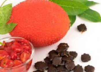 Quả gấc không chỉ để nấu xôi gấc, đem làm xốt gấc thay cho xốt cà chua, cho vào các món ăn hàng ngày thì thơm ngon thôi rồi