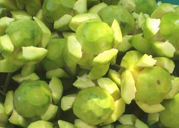 Giảm cân hiệu quả với trái cóc xanh